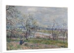 Spring at Veneux-Nadon, 1882 by Alfred Sisley