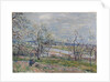 Spring at Veneux-Nadon, 1882 by Alfred Sisley