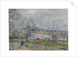 Spring at Veneux-Nadon, 1882 by Alfred Sisley