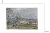 Spring at Veneux-Nadon, 1882 by Alfred Sisley