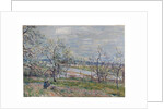 Spring at Veneux-Nadon, 1882 by Alfred Sisley