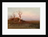 Early evening by Arkhip Ivanovich Kuindzhi