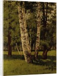 Birch trees by Arkhip Ivanovich Kuindzhi
