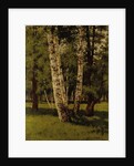 Birch trees by Arkhip Ivanovich Kuindzhi