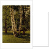 Birch trees by Arkhip Ivanovich Kuindzhi