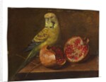 A parakeet and a pomegranate on a ledge by French School
