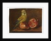 A parakeet and a pomegranate on a ledge by French School