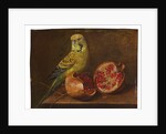 A parakeet and a pomegranate on a ledge by French School