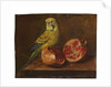 A parakeet and a pomegranate on a ledge by French School