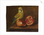 A parakeet and a pomegranate on a ledge by French School