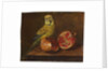 A parakeet and a pomegranate on a ledge by French School