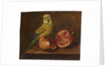 A parakeet and a pomegranate on a ledge by French School