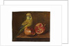 A parakeet and a pomegranate on a ledge by French School