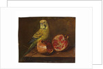 A parakeet and a pomegranate on a ledge by French School