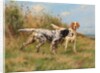 Two English setters by Thomas Blinks