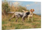 Two English setters by Thomas Blinks