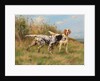 Two English setters by Thomas Blinks