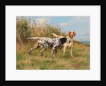 Two English setters by Thomas Blinks