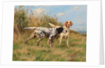 Two English setters by Thomas Blinks