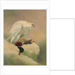Gyrfalcon and mallard by Joseph Wolf
