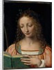 Bust length figure of saint, with a palm and reading the scriptures by Bernardino Luini