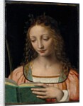 Bust length figure of saint, with a palm and reading the scriptures by Bernardino Luini