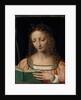 Bust length figure of saint, with a palm and reading the scriptures by Bernardino Luini