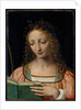 Bust length figure of saint, with a palm and reading the scriptures by Bernardino Luini