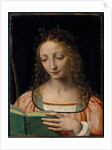 Bust length figure of saint, with a palm and reading the scriptures by Bernardino Luini