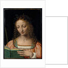 Bust length figure of saint, with a palm and reading the scriptures by Bernardino Luini