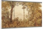 View overlooking Rio de Janeiro from the Tijuca forest by Thomas Ender