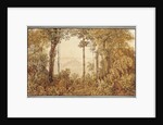 View overlooking Rio de Janeiro from the Tijuca forest by Thomas Ender