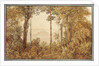 View overlooking Rio de Janeiro from the Tijuca forest by Thomas Ender