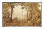 View overlooking Rio de Janeiro from the Tijuca forest by Thomas Ender