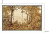 View overlooking Rio de Janeiro from the Tijuca forest by Thomas Ender