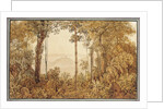 View overlooking Rio de Janeiro from the Tijuca forest by Thomas Ender
