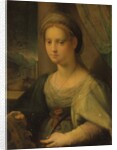 Portrait of a lady as Saint Catherine of Alexandria by Domenico Puligo