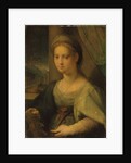 Portrait of a lady as Saint Catherine of Alexandria by Domenico Puligo