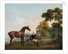 James Hamilton, 2nd Earl of Clanbrassil, with his bay hunter Mowbray, resting on a wooded path by a lake, 1765 by George Stubbs