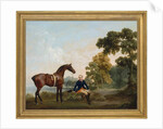 James Hamilton, 2nd Earl of Clanbrassil, with his bay hunter Mowbray, resting on a wooded path by a lake, 1765 by George Stubbs