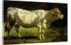 Cow in a Landscape by Friedrich Johann Voltz