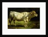 Cow in a Landscape by Friedrich Johann Voltz