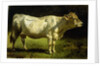 Cow in a Landscape by Friedrich Johann Voltz