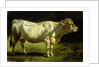 Cow in a Landscape by Friedrich Johann Voltz
