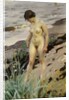 Sandhamn Study, 1914 by Anders Leonard Zorn