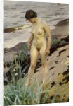 Sandhamn Study, 1914 by Anders Leonard Zorn