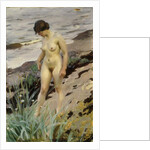 Sandhamn Study, 1914 by Anders Leonard Zorn