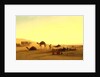 An Arab Encampment by Charles Theodore (1814-88) Frere
