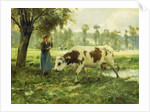 Cows at Pasture by Julien Dupre