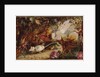 The Chase of the White Mouse by John Anster Fitzgerald